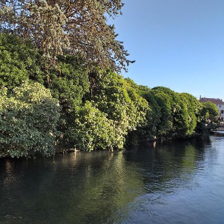 Le Petit Jardin ... Ξενοδοχείο LʼIsle-sur-la-Sorgue Εξωτερικό φωτογραφία